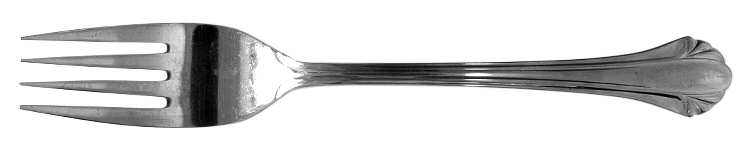 Staunton Hill (Stainless) Fork