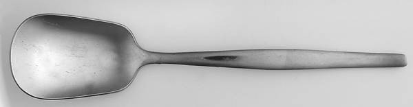 Sugarbush (Stainless) Sugar Spoon