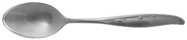 Summertime (Stainless) Teaspoon