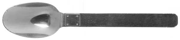 Telluride (Stainless) Teaspoon