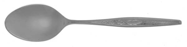 REF2 (STAINLESS) Teaspoon