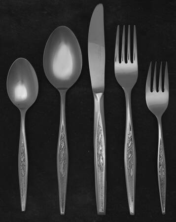 REF2 (STAINLESS) 5 Piece Place Setting