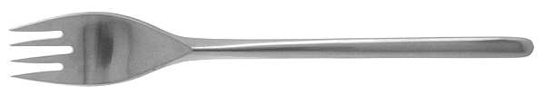 Composition (Stainless) Individual Salad Fork