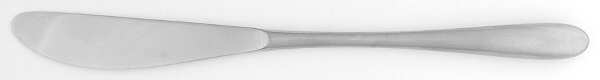 Taille (Stanless) Modern Solid Knife