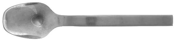 Titan (Stainless) Teaspoon