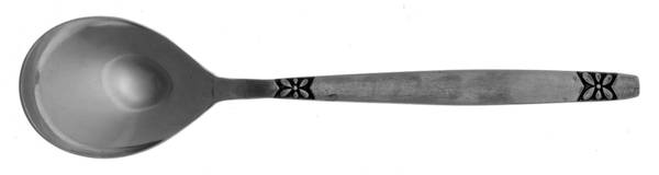 RIF12 (STAINLESS) Sugar Spoon
