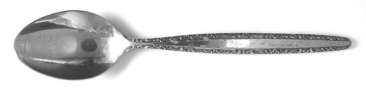 Livorno (Stainless) Teaspoon