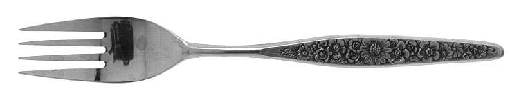 RIF6 (STAINLESS) Fork