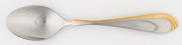 RLM2 (STAINLESS) Teaspoon