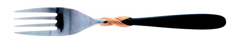 Braid-Onyx (Stainless, Onyxhdl, Gold Accent) Fork