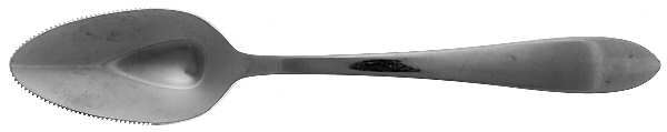 Kent (Stainless) Fruit/Orange Spoon