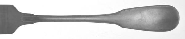 Nobel (Stainless) Fork