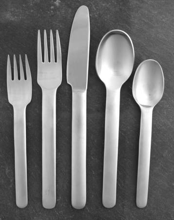 Scan (Stainless) 5 Piece Place Setting