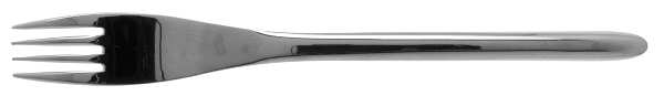 Stealth (Stainless) Fork