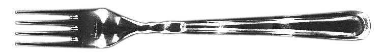 RTX1 (Stainless) Fork
