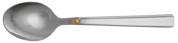 Dorato (Stainless) Teaspoon