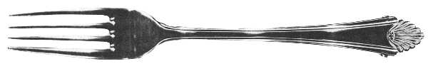 Islam Fork