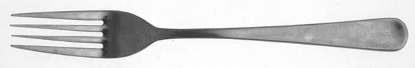 RTR17 (Stainless) Fork
