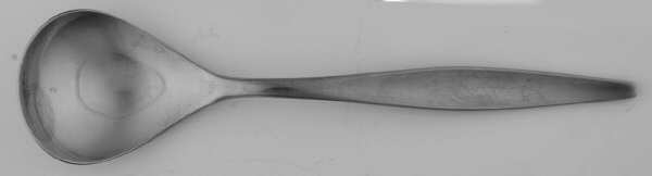 RDS69 (Stainless) Sugar Spoon