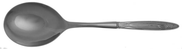 Pisces (Stainless) Casserole Spoon with Smooth Stainless Bowl HC