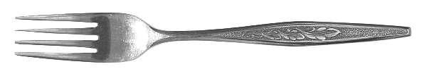 RNT6 (STAINLESS) Fork