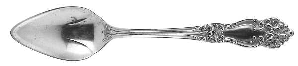 Tiger Lily (Silverplate, 1901, Monograms) Fruit/Orange Spoon