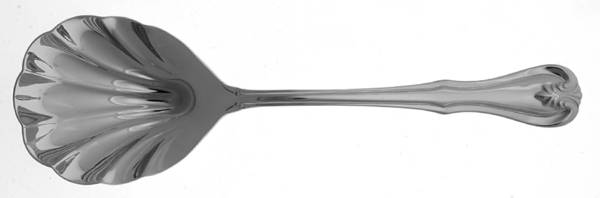 Bristol (Stainless) Solid Shell Casserole Spoon