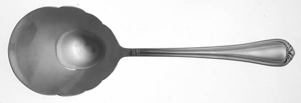 Stonegate (Stainless) Solid Smooth Berry/Casserole Spoon