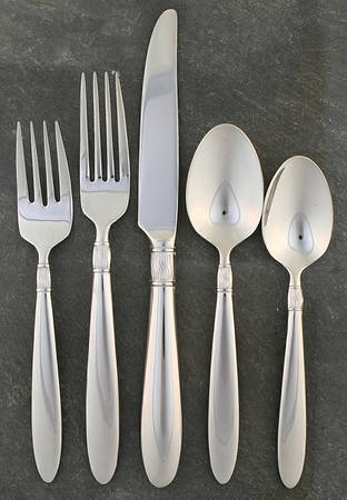 Dane (Stainless) 5 Piece Place Setting