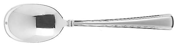 Newhall Matte (Stainless) Sugar Spoon