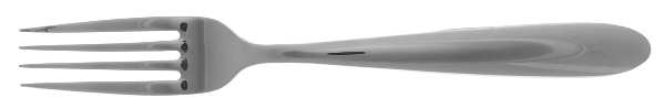 Freeport (Stainless) Fork