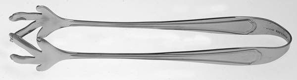 Arlington Newton (Stainless) Large Ice Serving Tongs
