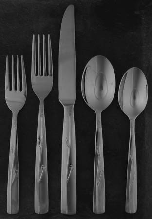 Fiori (Stainless) 5 Piece Place Setting