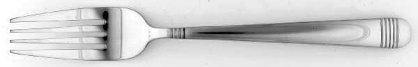 Equation (Stainless) Fork