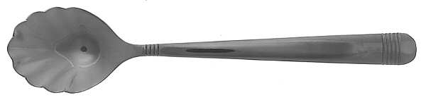 Equation (Stainless) Sugar Shell Spoon