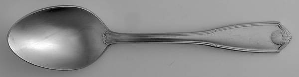 Potomac (Stainless) Teaspoon