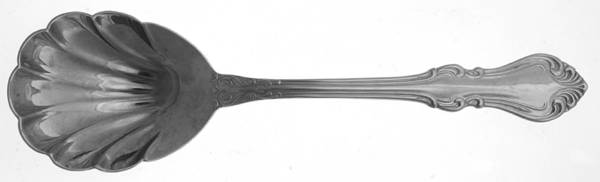 Shubert (Stainless) Solid Shell Casserole Spoon