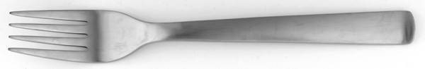 Foster (Stainless) Fork