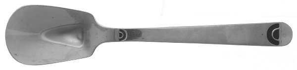 Painted Desert (Stainless) Sugar Spoon