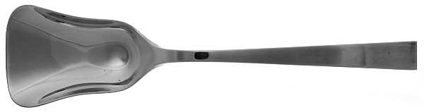 Riva (Sterling) Gourmet Spoon