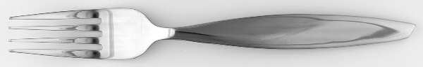 Roadway (Stainless) Fork by Retroneu