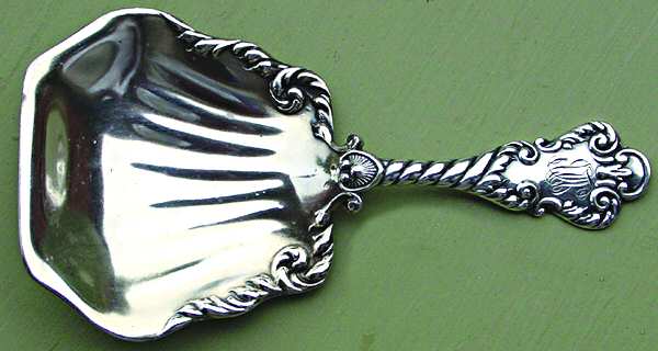 25 (Sterling) Tea Caddy Spoon