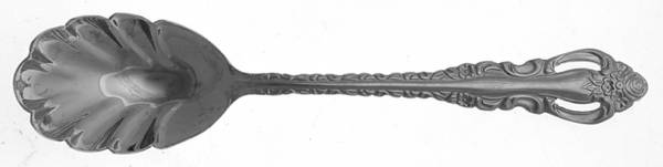 RXV3 (Stainless) Sugar Shell Spoon