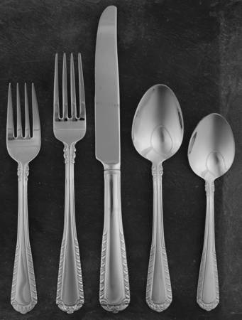 Surrey (Stainless) 5 Piece Place Setting