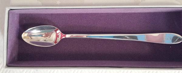 Master (Stainless) Infant Feeding Spoon