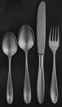 Holliston (Stainless) 5 Piece Place Setting
