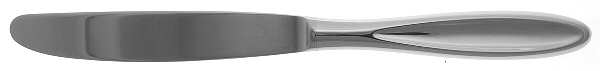 Holliston (Stainless) Modern Hollow Knife