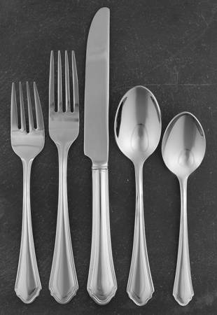 Canter Place (Stainless) 5 Piece Place Setting