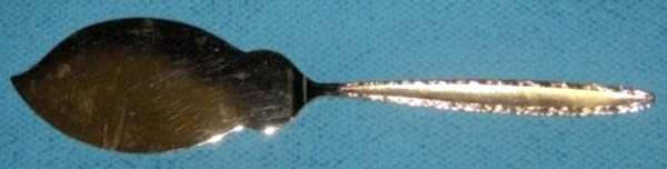 RLN9 (Gold Electroplate) Solid Ice Cream Slicer
