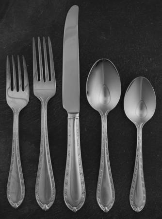Ivy Glen (Stainless) 5 Piece Place Setting